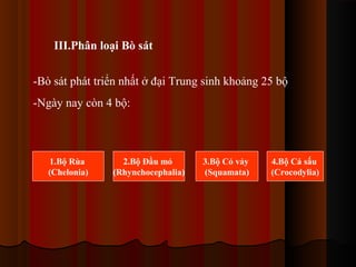 III.Phân loại Bò sát
-Bò sát phát triển nhất ở đại Trung sinh khoảng 25 bộ
-Ngày nay còn 4 bộ:

1.Bộ Rùa
(Chelonia)

2.Bộ Đầu mỏ
(Rhynchocephalia)

3.Bộ Có vảy
(Squamata)

4.Bộ Cá sấu
(Crocodylia)

 