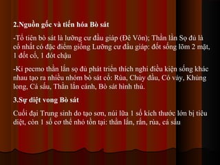 2.Nguồn gốc và tiến hóa Bò sát
-Tổ tiên bò sát là lưỡng cư đầu giáp (Đê Vôn); Thằn lằn Sọ đủ là
cổ nhất có đặc điểm giống Lưỡng cư đầu giáp: đốt sống lõm 2 mặt,
1 đốt cổ, 1 đót chậu
-Kỉ pecmo thằn lắn sọ đủ phát triển thích nghi điều kiện sống khác
nhau tạo ra nhiều nhóm bò sát cổ: Rùa, Chủy đầu, Có vảy, Khủng
long, Cá sấu, Thằn lắn cánh, Bò sát hình thú.
3.Sự diệt vong Bò sát
Cuối đại Trung sinh do tạo sơn, núi lữa 1 số kích thước lớn bị tiêu
diệt, còn 1 số cơ thể nhỏ tồn tại: thằn lắn, rắn, rùa, cá sấu

 