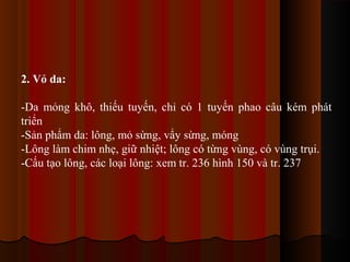 2. Vỏ da:
-Da mỏng khô, thiếu tuyến, chỉ có 1 tuyến phao câu kém phát
triển
-Sản phẩm da: lông, mỏ sừng, vẩy sừng, móng
-Lông làm chim nhẹ, giữ nhiệt; lông có từng vùng, có vùng trụi.
-Cấu tạo lông, các loại lông: xem tr. 236 hình 150 và tr. 237

 