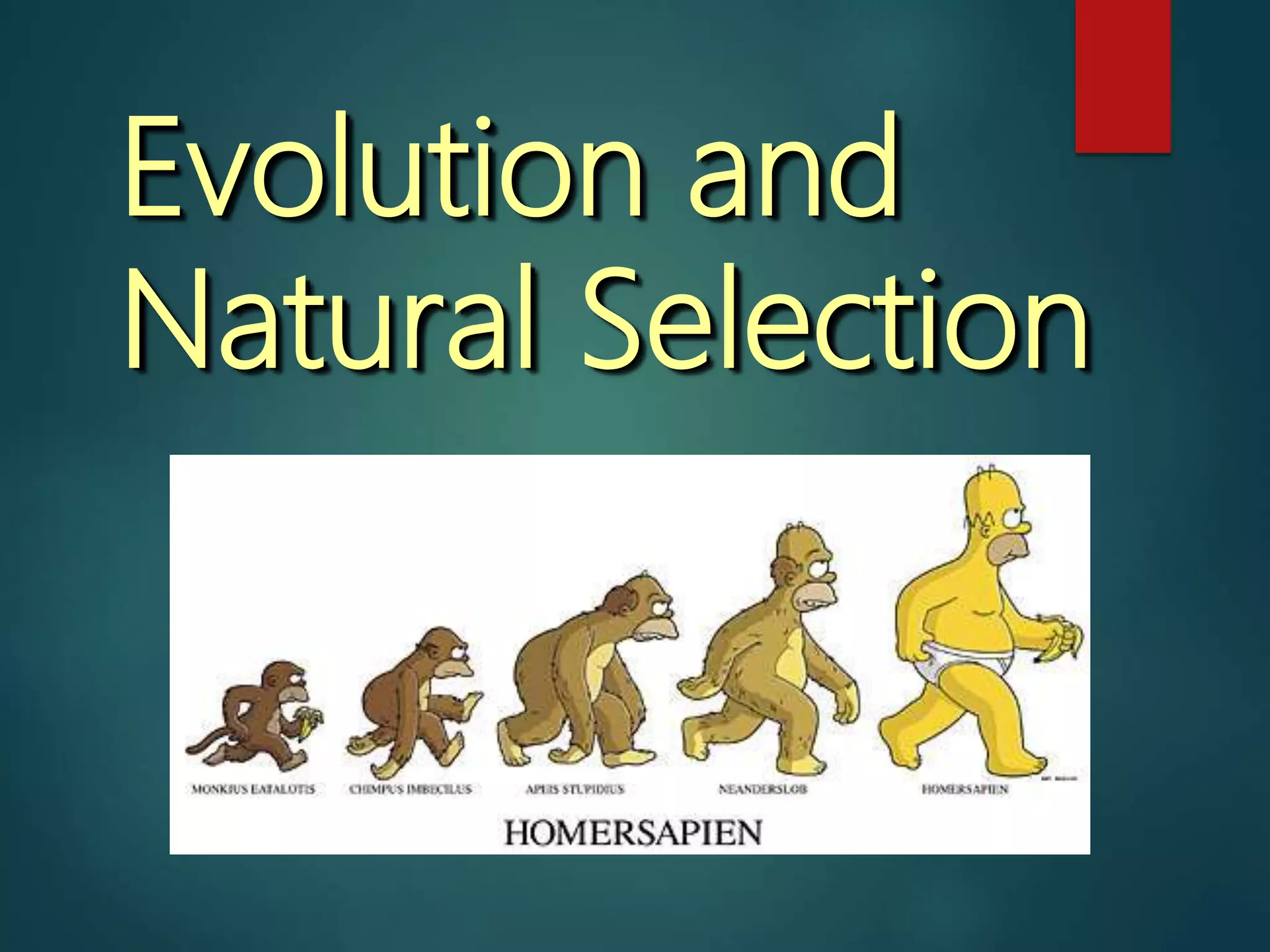 Evolution and natural_selection | PPTX | Genetics | Science