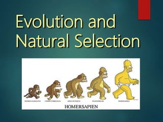 Evolution and
Natural Selection
 