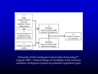 Schematic of the Landscape Conservation Forecasting™.
Legend: NRV = Natural Range of Variability is the reference
condition. Ecological systems are potential vegetation types.
 