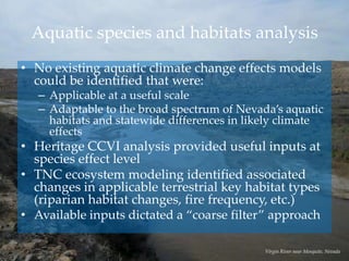 Aquatic species and habitats analysis
• No existing aquatic climate change effects models
could be identified that were:
– Applicable at a useful scale
– Adaptable to the broad spectrum of Nevada’s aquatic
habitats and statewide differences in likely climate
effects
• Heritage CCVI analysis provided useful inputs at
species effect level
• TNC ecosystem modeling identified associated
changes in applicable terrestrial key habitat types
(riparian habitat changes, fire frequency, etc.)
• Available inputs dictated a ‚coarse filter‛ approach
Virgin River near Mesquite, Nevada
 
