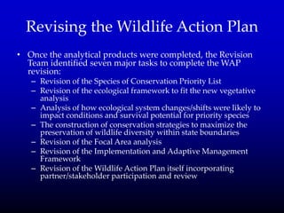Revising the Wildlife Action Plan
• Once the analytical products were completed, the Revision
Team identified seven major tasks to complete the WAP
revision:
– Revision of the Species of Conservation Priority List
– Revision of the ecological framework to fit the new vegetative
analysis
– Analysis of how ecological system changes/shifts were likely to
impact conditions and survival potential for priority species
– The construction of conservation strategies to maximize the
preservation of wildlife diversity within state boundaries
– Revision of the Focal Area analysis
– Revision of the Implementation and Adaptive Management
Framework
– Revision of the Wildlife Action Plan itself incorporating
partner/stakeholder participation and review
 