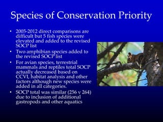 Species of Conservation Priority
• 2005-2012 direct comparisons are
difficult but 5 fish species were
elevated and added to the revised
SOCP list
• Two amphibian species added to
the revised SOCP list
• For avian species, terrestrial
mammals and reptiles total SOCP
actually decreased based on
CCVI, habitat analysis and other
factors although new species were
added in all categories.
• SOCP total was similar (256 v 264)
due to inclusion of additional
gastropods and other aquatics
 