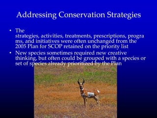 Addressing Conservation Strategies
• The
strategies, activities, treatments, prescriptions, progra
ms, and initiatives were often unchanged from the
2005 Plan for SCOP retained on the priority list
• New species sometimes required new creative
thinking, but often could be grouped with a species or
set of species already prioritized by the Plan
 