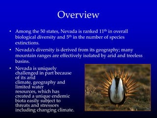 Overview
• Among the 50 states, Nevada is ranked 11th in overall
biological diversity and 5th in the number of species
extinctions.
• Nevada’s diversity is derived from its geography; many
mountain ranges are effectively isolated by arid and treeless
basins.
• Nevada is uniquely
challenged in part because
of its arid
climate, geography and
limited water
resources, which has
created a unique endemic
biota easily subject to
threats and stressors
including changing climate.
 