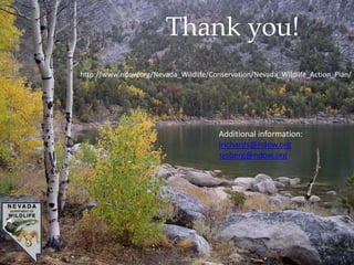 Thank you!
http://www.ndow.org/Nevada_Wildlife/Conservation/Nevada_Wildlife_Action_Plan/
Additional information:
lrichards@ndow.org
sjoberg@ndow.org
 