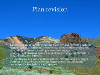 Plan revision
• The conservation partner planning team revised Nevada's Wildlife
Action Plan to incorporate the potential impacts of emerging and
expanding stressors including accelerated energy
development, invasive species, and climate change on Nevada ‘s
fish, wildlife, and habitats.
• By identifying key conservation actions, Nevada is in a stronger
position to ensure ecosystem resiliency across the changing
landscape for key habitats and species.
 