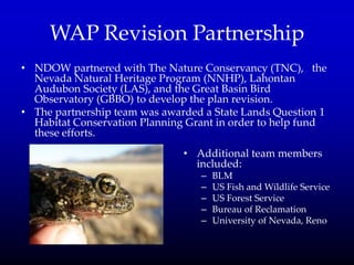 WAP Revision Partnership
• NDOW partnered with The Nature Conservancy (TNC), the
Nevada Natural Heritage Program (NNHP), Lahontan
Audubon Society (LAS), and the Great Basin Bird
Observatory (GBBO) to develop the plan revision.
• The partnership team was awarded a State Lands Question 1
Habitat Conservation Planning Grant in order to help fund
these efforts.
• Additional team members
included:
– BLM
– US Fish and Wildlife Service
– US Forest Service
– Bureau of Reclamation
– University of Nevada, Reno
 