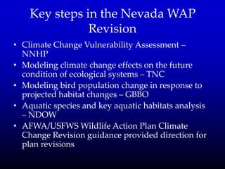 Key steps in the Nevada WAP
Revision
• Climate Change Vulnerability Assessment –
NNHP
• Modeling climate change effects on the future
condition of ecological systems – TNC
• Modeling bird population change in response to
projected habitat changes – GBBO
• Aquatic species and key aquatic habitats analysis
– NDOW
• AFWA/USFWS Wildlife Action Plan Climate
Change Revision guidance provided direction for
plan revisions
 