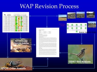 WAP Revision Process
GBBO Bird Analysis
NDOW Critter Analysis
NDOW Aquatic
Species Analysis
 