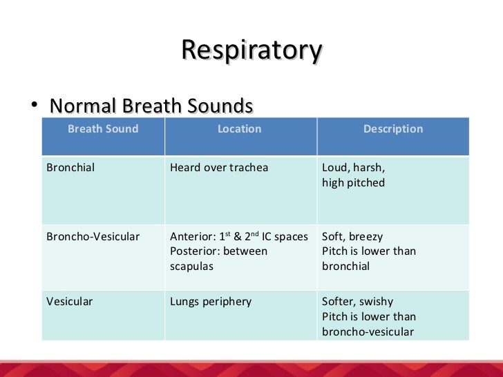 listen to lung sounds listen to lung sounds
