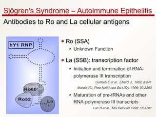 Ro (SSA)
Unknown Function
La (SSB): transcription factor
Initiation and termination of RNA-
polymerase III transcription
Gottlieb E et al., EMBO J., 1989; 8:841
Maraia RJ, Proc Natl Acad Sci USA, 1996; 93:3383
Maturation of pre-tRNAs and other
RNA-polymerase III transcripts
Fan H et al., Mol Cell Biol 1998; 18:3201
Sjögren's Syndrome – Autoimmune Epithelitis
Antibodies to Ro and La cellular antigens
 