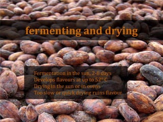 fermenting and drying<br />Fermentation in thesun, 2-8 days<br />Developsflavours at up to 52° C<br />Drying in thesun or ...