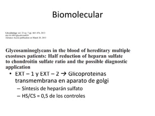 Biomolecular
• EXT – 1 y EXT – 2  Glicoproteinas
transmembrana en aparato de golgi
– Síntesis de heparán sulfato
– HS/CS = 0,5 de los controles
 