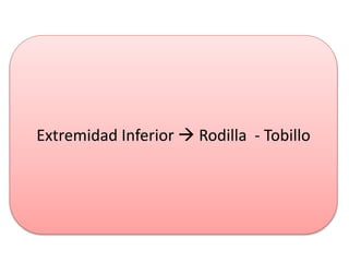 Extremidad Inferior  Rodilla - Tobillo
 