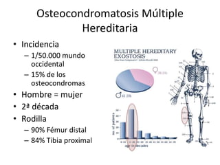 Osteocondromatosis Múltiple
Hereditaria
• Incidencia
– 1/50.000 mundo
occidental
– 15% de los
osteocondromas
• Hombre = mujer
• 2ª década
• Rodilla
– 90% Fémur distal
– 84% Tibia proximal
 
