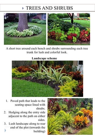 ? TREES AND SHRUBS
A short tree around each bench and shrubs surrounding each tree
trunk for lush and colorful look.
1. Paved path that leads to the
seating space lined with
shrubs.
2. Hedging along the entry side
adjacent to the path on either
sides.
3. Lush landscape along to rear
end of the plot (towards the
building)
Landscape scheme
 