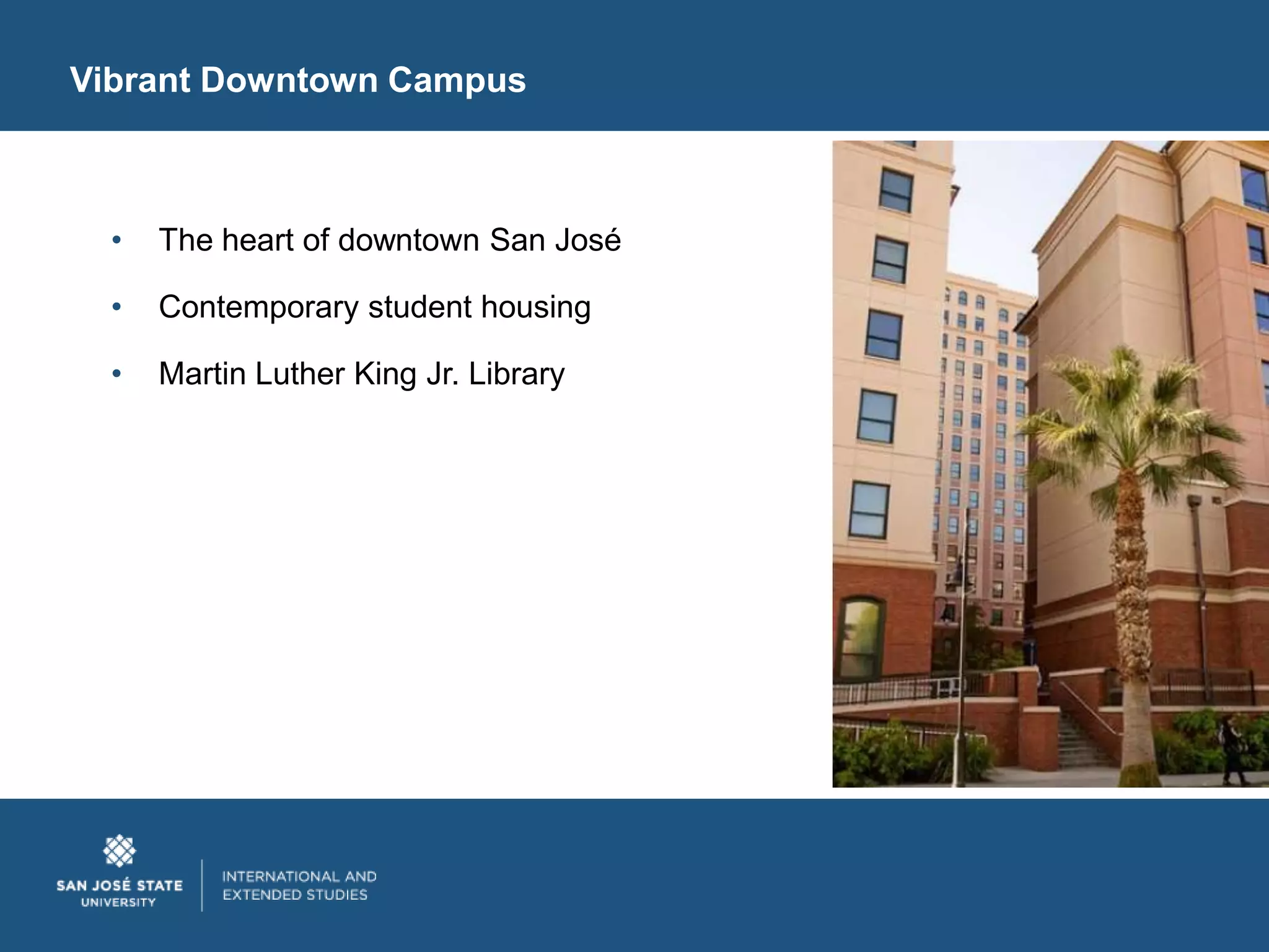 Vibrant Downtown Campus



  •   The heart of downtown San José

  •   Contemporary student housing

  •   Martin Luther King Jr. Library
 