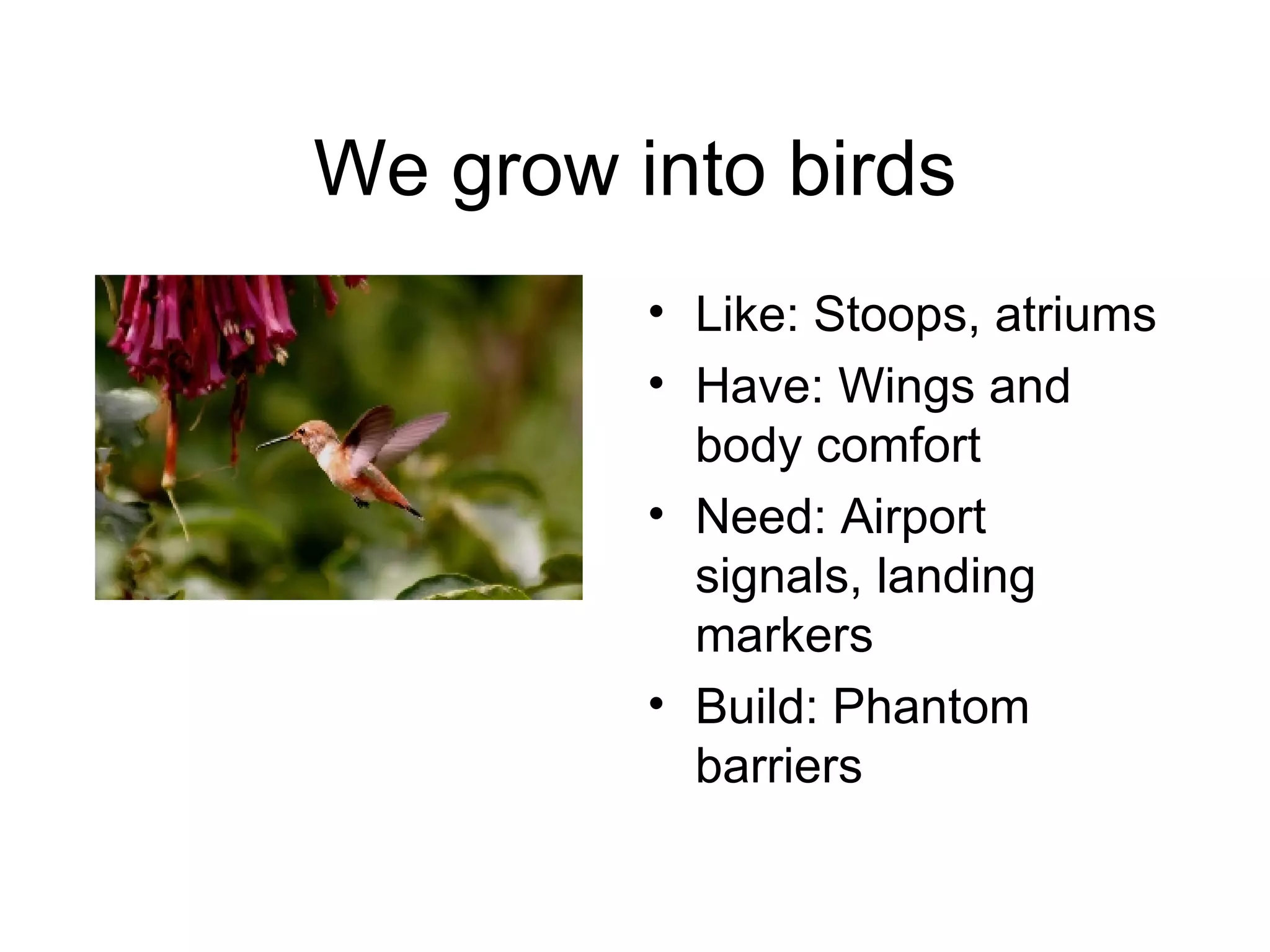 We grow into birds Like: Stoops, atriums Have: Wings and body comfort Need: Airport signals, landing markers Build: Phantom barriers 