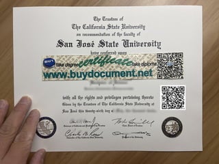 SJSU diploma | PPT