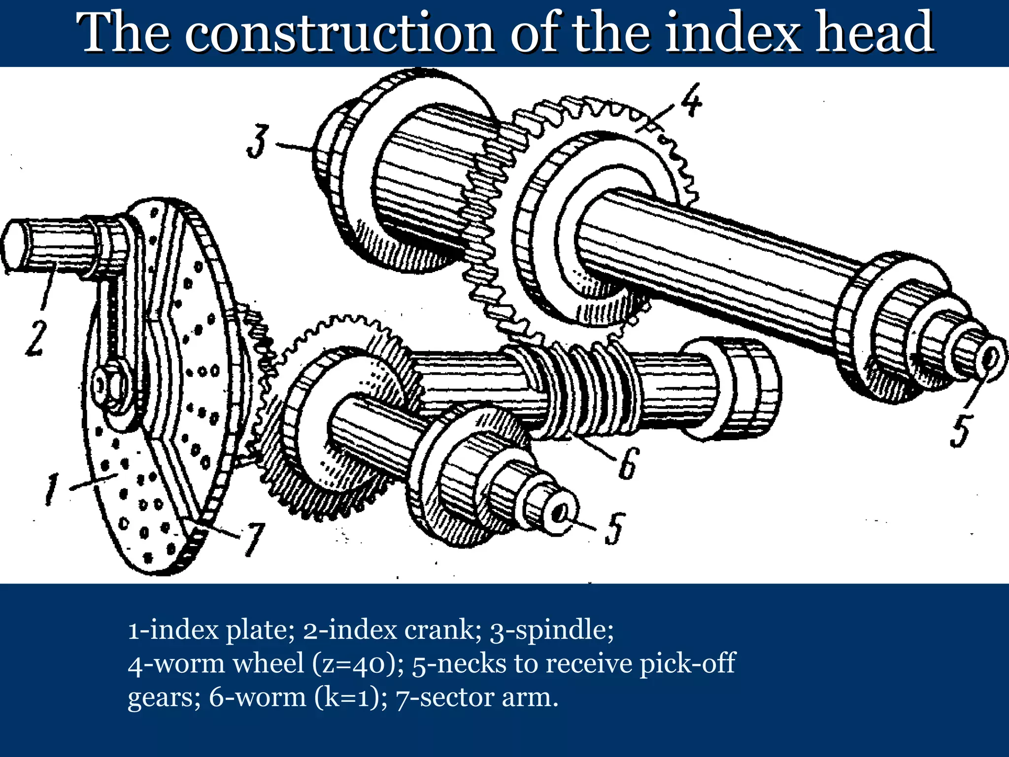 The construction of the index head 1-index plate; 2-index crank; 3-spindle;  4-worm wheel (z=40); 5-necks to receive pick-off gears; 6-worm (k=1); 7-sector arm. 