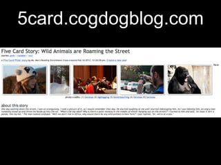 5card.cogdogblog.com
 