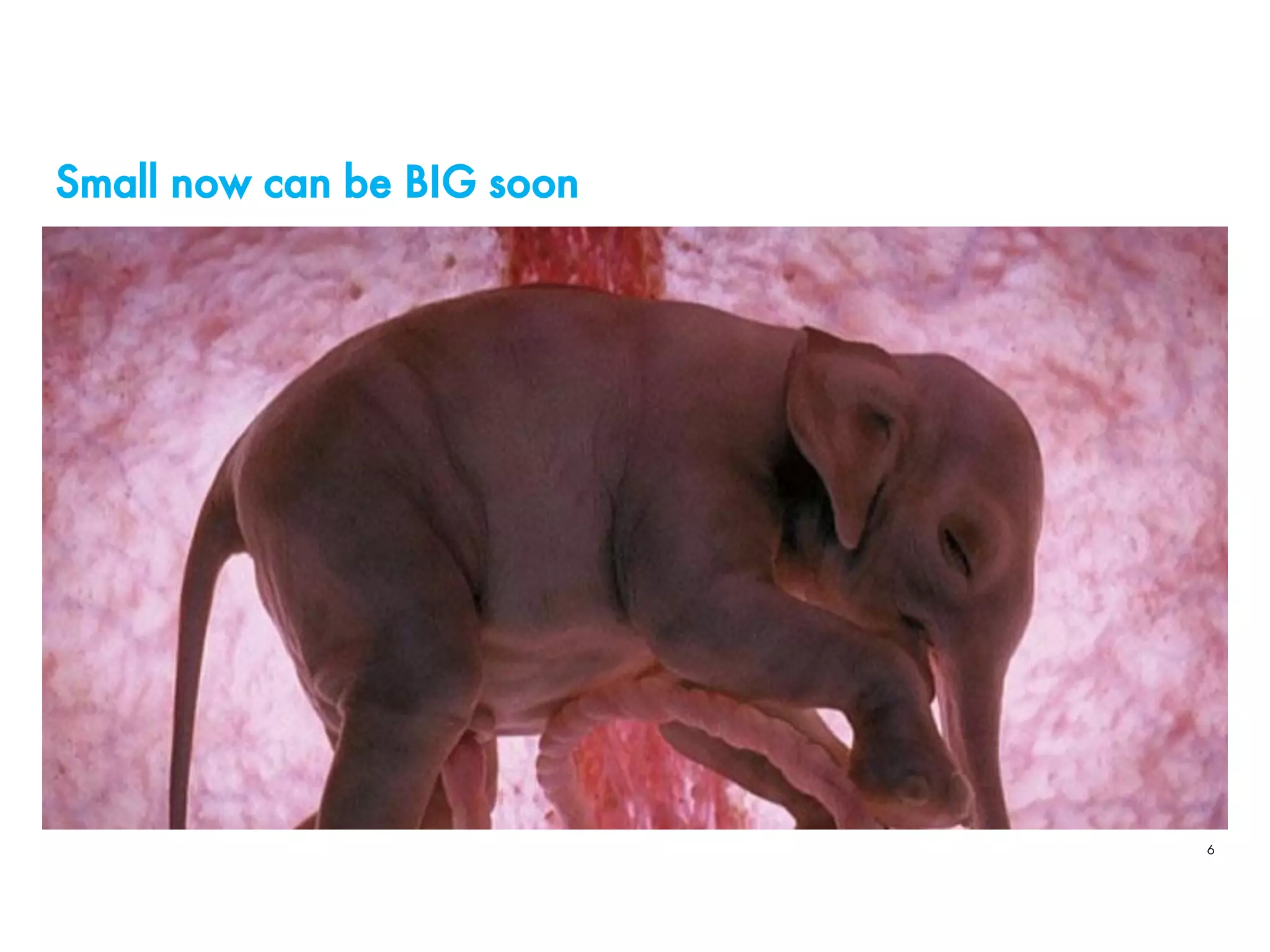 Small now can be BIG soon
6