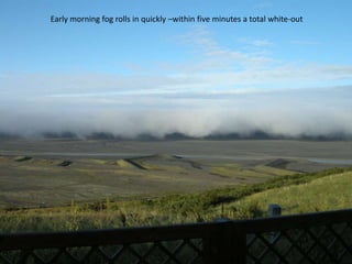 Early morning fog rolls in quickly –within five minutes a total white-out