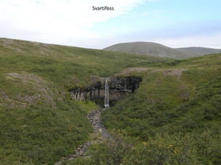 Svartifoss