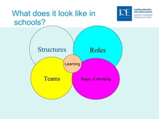 What does it look like in  schools?  Structures Roles Teams Ways of Working Learning 