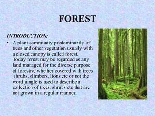 FOREST
INTRODUCTION:
• A plant community predominantly of
trees and other vegetation usually with
a closed canopy is called forest.
Today forest may be regarded as any
land managed for the diverse purpose
of forestry, whether covered with trees
shrubs, climbers, lions etc or not the
word jungle is used to describe a
collection of trees, shrubs etc that are
not grown in a regular manner.
 