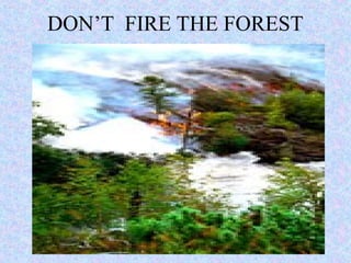 DON’T FIRE THE FOREST
 