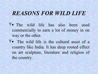 REASONS FOR WILD LIFE
The wild life has also been used
commercially to earn a lot of money in on
way or the other.
 The wild life is the cultural asset of a
country like India. It has deep rooted effect
on art sculpture, literature and religion of
the country.
 