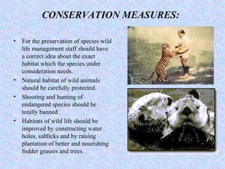 CONSERVATION MEASURES:
• For the preservation of species wild
life management staff should have
a correct idea about the exact
habitat which the species under
consideration needs.
• Natural habitat of wild animals
should be carefully protected.
• Shooting and hunting of
endangered species should be
totally banned.
• Habitats of wild life should be
improved by constructing water
holes, saltlicks and by raising
plantation of better and nourishing
fodder grasses and trees.
 
