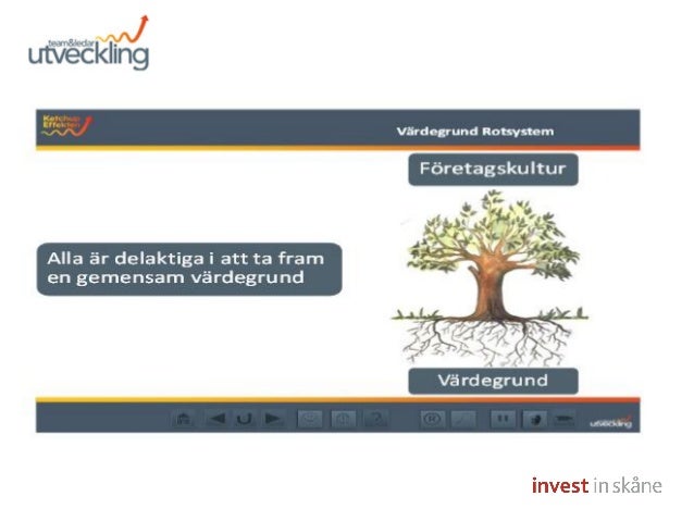 Invest In Skane Presentation Mim 30 Januari 2015