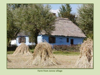 Farm from Jonne village