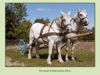 	The show of field works; XIX w.