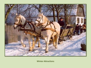 Winter Attractions