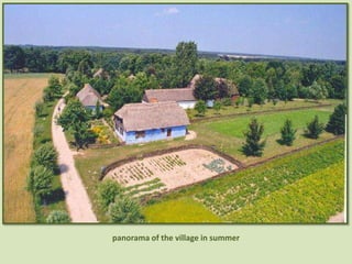 panorama of the village in summer