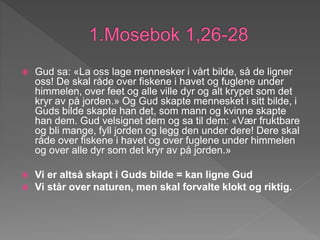  Gud sa: «La oss lage mennesker i vårt bilde, så de ligner
oss! De skal råde over fiskene i havet og fuglene under
himmelen, over feet og alle ville dyr og alt krypet som det
kryr av på jorden.» Og Gud skapte mennesket i sitt bilde, i
Guds bilde skapte han det, som mann og kvinne skapte
han dem. Gud velsignet dem og sa til dem: «Vær fruktbare
og bli mange, fyll jorden og legg den under dere! Dere skal
råde over fiskene i havet og over fuglene under himmelen
og over alle dyr som det kryr av på jorden.»
 Vi er altså skapt i Guds bilde = kan ligne Gud
 Vi står over naturen, men skal forvalte klokt og riktig.
 