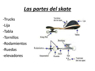 Las partes del skate
-Trucks
-Lija
-Tabla
-Tornillos
-Rodamientos
-Ruedas
-elevadores
 