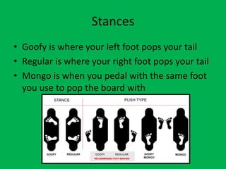 Stances
• Goofy is where your left foot pops your tail
• Regular is where your right foot pops your tail
• Mongo is when you pedal with the same foot
you use to pop the board with
 
