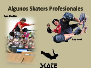Algunos Skaters ProfesionalesRyan ShecklerTony Hawk
