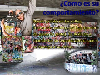 ¿Como es su comportamiento?Hacen grafitti en las calles,                       transporte publico con tag (nombre                           de quien lo pinto). Se dedican a                       manifestar su repudio contra quien                        se oponga a sus ideas