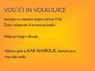 VOL Č I Č I IN VOLKULJICE Srečujejo se v starostni skupini od 8 do 11 let.  Živijo v skupnosti, ki se imenuje  krdelo .  Delajo po knjigi o džungli.  Njihovo geslo je  KAR NAJBOLJE . Zavetnik pa sv.  Fran č išek Asiški. 