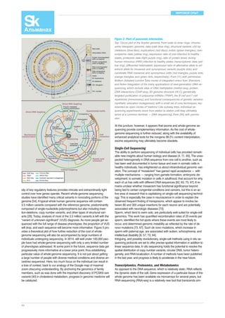 МИРОВОЙ ОПЫТ 
sity of key regulatory features provides intricate and extraordinarily tight 
control over how genes operate. Recent whole-genome sequencing 
studies have identified many critical variants in noncoding portions of the 
genome [54]. A typical whole human genome sequence will contain 
3.5 million variants compared with the reference genome, predominantly 
composed of single-nucleotide polymorphisms but also including inser-tion- 
44 
deletions, copy number variants, and other types of structural vari-ants 
[29]. Today, analysis of most of the 3.5 million variants is left with the 
“variant of unknown significant” (VUS) diagnosis. As more people get se-quenced 
with the full range of disease phenotypes, the proportion of VUS 
will drop, and each sequence will become more informative. Figure 3 pro-vides 
a theoretical plot of how further reduction of the cost of whole-genome 
sequencing will also be accompanied by large numbers of 
individuals undergoing sequencing. In 2014, still well under 100,000 peo-ple 
have had whole-genome sequencing with only a very limited number 
of phenotypes addressed. At some point in the future, sequence data get 
progressively more informative at a lower price point, thus establishing 
particular value of whole-genome sequencing. It is not just about getting 
a large number of people with diverse medical conditions and diverse an-cestries 
sequenced. Here, too much focus on the individual can result in 
a loss of context, back to our analogy of the Google map of maximal 
zoom obscuring understanding. By anchoring the genomics of family 
members, such as was done with the important discovery of PCSK9 rare 
variants [40] in cholesterol metabolism, progress in genomic medicine will 
be catalyzed. 
Figure 2. Plots of panoramic information. 
Top: Circos plot of the Snyder genome. From outer to inner rings: chromo-some 
ideogram; genomic data (pale blue ring), structural variants >50 bp 
(deletions [blue tiles], duplications [red tiles]), indels (green triangles); tran-scriptomic 
data (yellow ring), expression ratio of viral infection to healthy 
states; proteomic data (light purple ring), ratio of protein levels during 
human rhinovirus (HRV) infection to healthy states; transcriptomic data (yel-low 
ring), differential heteroallelic expression ratio of alternative allele to ref-erence 
allele for missense and synonymous variants (purple dots) and 
candidate RNA missense and synonymous edits (red triangles, purple dots, 
orange triangles, and green dots, respectively). From [11] with permission. 
Bottom: Adopted London Tube model of integrated omics from Shendure 
and Aiden Integration of the many applications of next-generation DNA se-quencing, 
which include sites of DNA methylation (methyl-seq), protein- 
DNA interactions (ChIP-seq), 3D genome structure (Hi-C), genetically 
targeted purification of polysomal mRNAs (TRAP), the B cell and T cell 
repertoires (immunoseq), and functional consequences of genetic variation 
(synthetic saturation mutagenesis) with a small set of core techniques, rep-resented 
as open circles of “stations.” Like subway lines, individual se-quencing 
experiments move from station to station until they ultimately 
arrive at a common terminal — DNA sequencing. From [85] with permis-sion. 
At this juncture, however, it appears that exome and whole-genome se-quencing 
provide complementary information. As the cost of whole-genome 
sequencing is further reduced, along with the availability of 
enhanced analytical tools for the nongene 98.5% content interpretation, 
exome sequencing may ultimately become obsolete. 
Single-Cell Sequencing 
The ability to perform sequencing of individual cells has provided remark-able 
new insights about human biology and disease [4, 71, 83]. The unex-pected 
heterogeneity in DNA sequence from one cell to another, such as 
has been well documented in tumor tissue and even in somatic cells in 
healthy individuals, has enlightened us about intraindividual genomic vari-ation. 
The concept of “mosaicism” has gained rapid acceptance — with 
multiple mechanisms — ranging from gamete formation, embryonic de-velopment, 
to somatic mutation in cells in adulthood, that account for why 
each of us has cells with different DNA sequences [62, 63, 73, 97]. It re-mains 
unclear whether mosaicism has functional significance beyond 
being tied to certain congenital conditions and cancers, but this is an ac-tive 
area of research that is capitalizing on single-cell sequencing technol-ogy. 
This is especially the case in neuroscience in order to explain the 
observed frequent finding of transposons, which appear to involve be-tween 
80 and 300 unique insertions for each neuron and are potentially 
associated with neurologic diseases [73]. 
Sperm, which tend to swim solo, are particularly well suited for single-cell 
genomics. This work has quantified recombination rates of 25 events per 
sperm, identified the hot spots where these events are most likely to 
occur, and determined genomic instability as reflected by the rate of de 
novo mutations [73, 97]. Such de novo mutations, which increase in 
sperm with paternal age, are associated with autism, schizophrenia, and 
intellectual disability [8, 57, 73, 94]. 
Intriguing, and possibly revolutionary, single-cell methods using in situ se-quencing 
protocols are set to offer precise spatial information in addition to 
linear sequence data. In situ sequencing holds the potential to resolve the 
spatial distribution of copy number variants, circular DNA, tumor hetero-geneity, 
and RNA localization. A number of methods have been published 
in the last year, and progress is likely to accelerate in the near future. 
Transcriptomics, Proteomics, and Metabolomics 
As opposed to the DNA sequence, which is relatively static, RNA reflects 
the dynamic state of the cell. Gene expression of a particular tissue of the 
whole genome has been available via microarrays for several years, but 
RNA sequencing (RNA-seq) is a relatively new tool that transcends sim- 
 