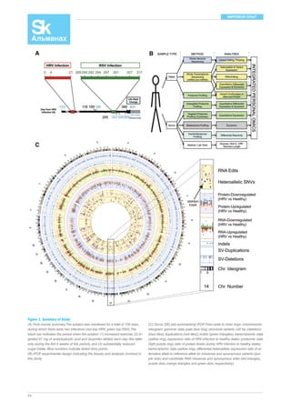 МИРОВОЙ ОПЫТ 
Figure 1. Summary of Study 
(A) Time course summary. The subject was monitored for a total of 726 days, 
during which there were two infections (red bar, HRV; green bar, RSV). The 
black bar indicates the period when the subject: (1) increased exercise, (2) in-gested 
54 
81 mg of acetylsalicylic acid and ibuprofen tablets each day (the latter 
only during the first 6 weeks of this period), and (3) substantially reduced 
sugar intake. Blue numbers indicate fasted time points. 
(B) iPOP experimental design indicating the tissues and analyses involved in 
this study. 
(C) Circos [26] plot summarizing iPOP. From outer to inner rings: chromosome 
ideogram; genomic data (pale blue ring), structural variants >50 bp (deletions 
[blue tiles], duplications [red tiles]), indels (green triangles); transcriptomic data 
(yellow ring), expression ratio of HRV infection to healthy states; proteomic data 
(light purple ring), ratio of protein levels during HRV infection to healthy states; 
transcriptomic data (yellow ring), differential heteroallelic expression ratio of al-ternative 
allele to reference allele for missense and synonymous variants (pur-ple 
dots) and candidate RNA missense and synonymous edits (red triangles, 
purple dots, orange triangles and green dots, respectively). 
 