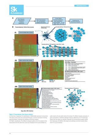 МИРОВОЙ ОПЫТ 
Figure 3. Transcriptome Time Course Analysis 
(A) Summary of approach for identification of differentially expressed components. 
The various omics sets were processed through a common framework involving 
spectral analysis, clustering, and pathway enrichment analysis. 
(B) Pattern classification. The different emergent patterns from the analysis of the 
transcriptome for the entire time course are displayed for the autocorrelation (I), 
58 
spike maxima (II), and spike minima (III) classes. For different clusters, examples of 
gene connections in selected pathways based on Reactome [11] FI (Cytoscape 
plugin [44]) are shown as networks. Example GO [5] enrichment analysis results 
from Cytoscape [44] BiNGO [36] plugin and pathway enrichment results (Reac-tome 
FI [11]) are included. 
 